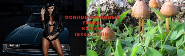 мет Баксан